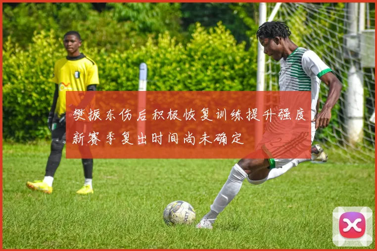 樊振东伤后积极恢复训练提升强度新赛季复出时间尚未确定